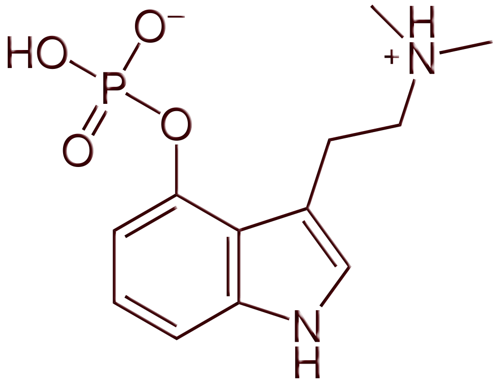 The Future of Psilocybin in the Pharmaceutical Industry: Mycological Innovations Transforming Healthcare and Mental Health&nbsp;Care